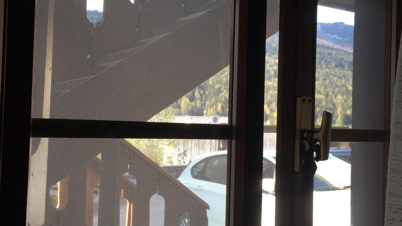 Photo of Others in Borca di Cadore