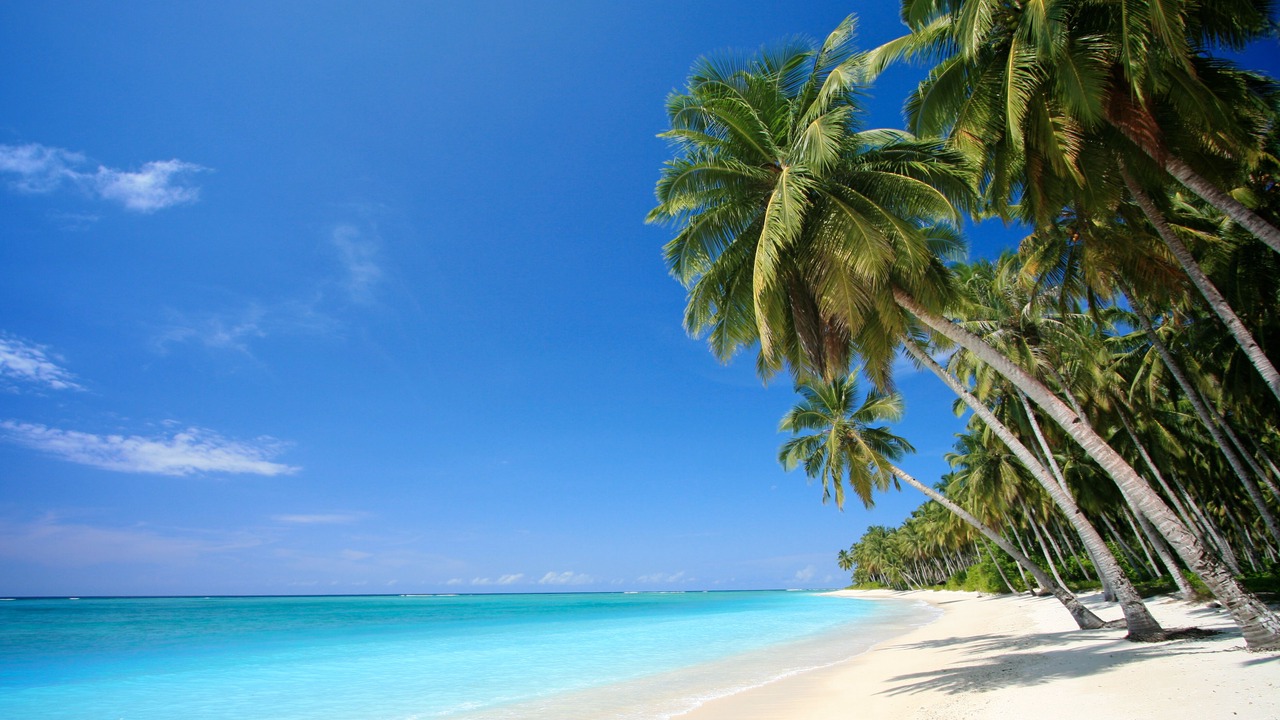 Photo of Others in Bahamia West