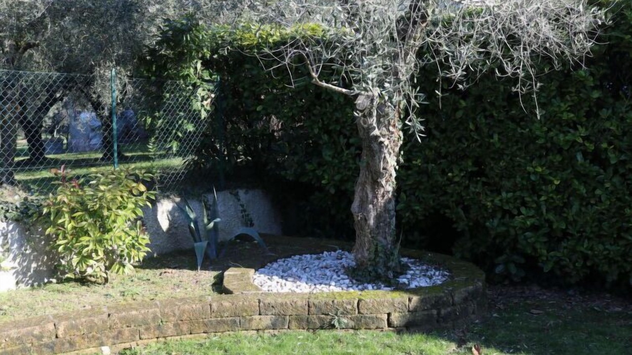 Photo of Outdoor in Montioni