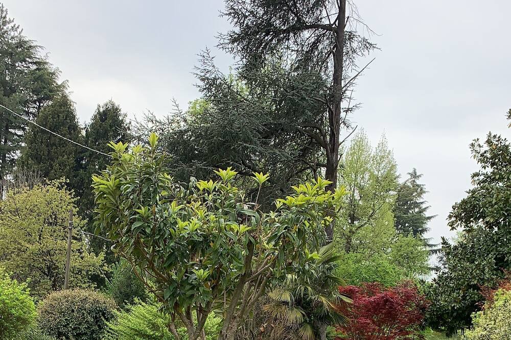 Photo of Outdoor in Teolo