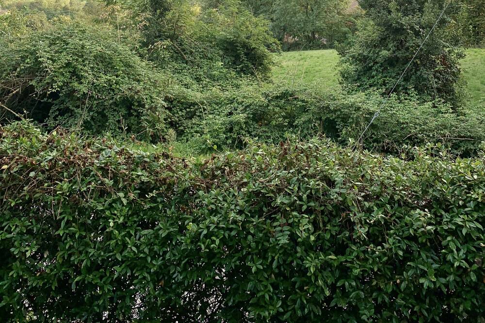 Photo of Outdoor in Teolo
