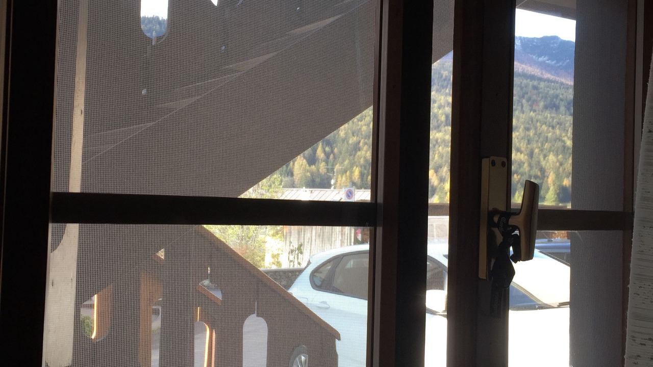 Photo of Others in Borca di Cadore