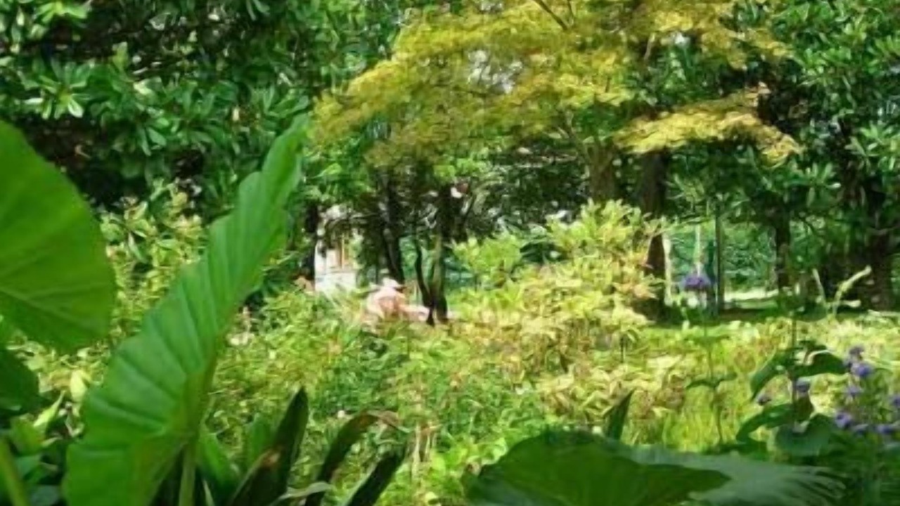 Photo of Outdoor in Pieve di Soligo