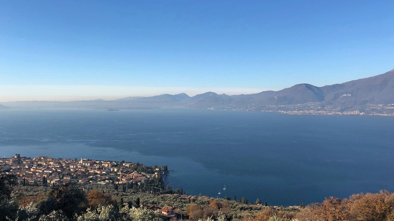 Photo of Others in Albisano