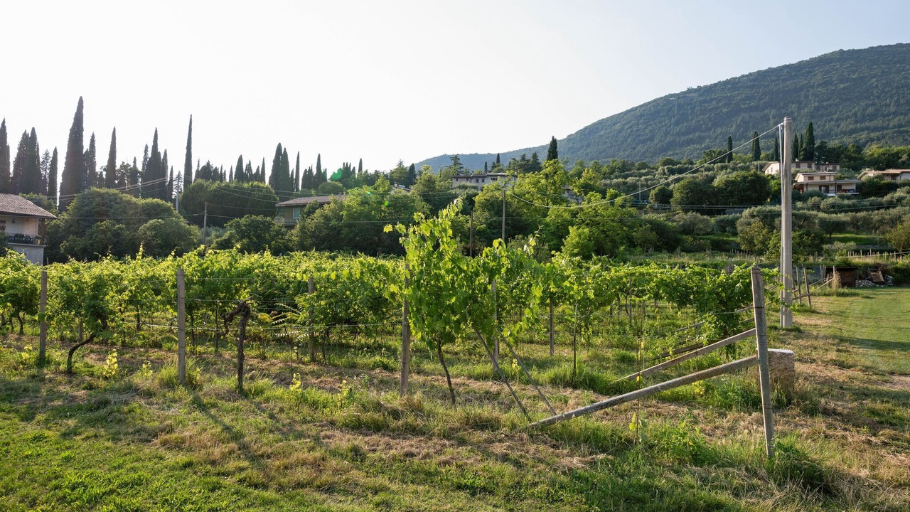 Photo of Outdoor in Pesina Spezie