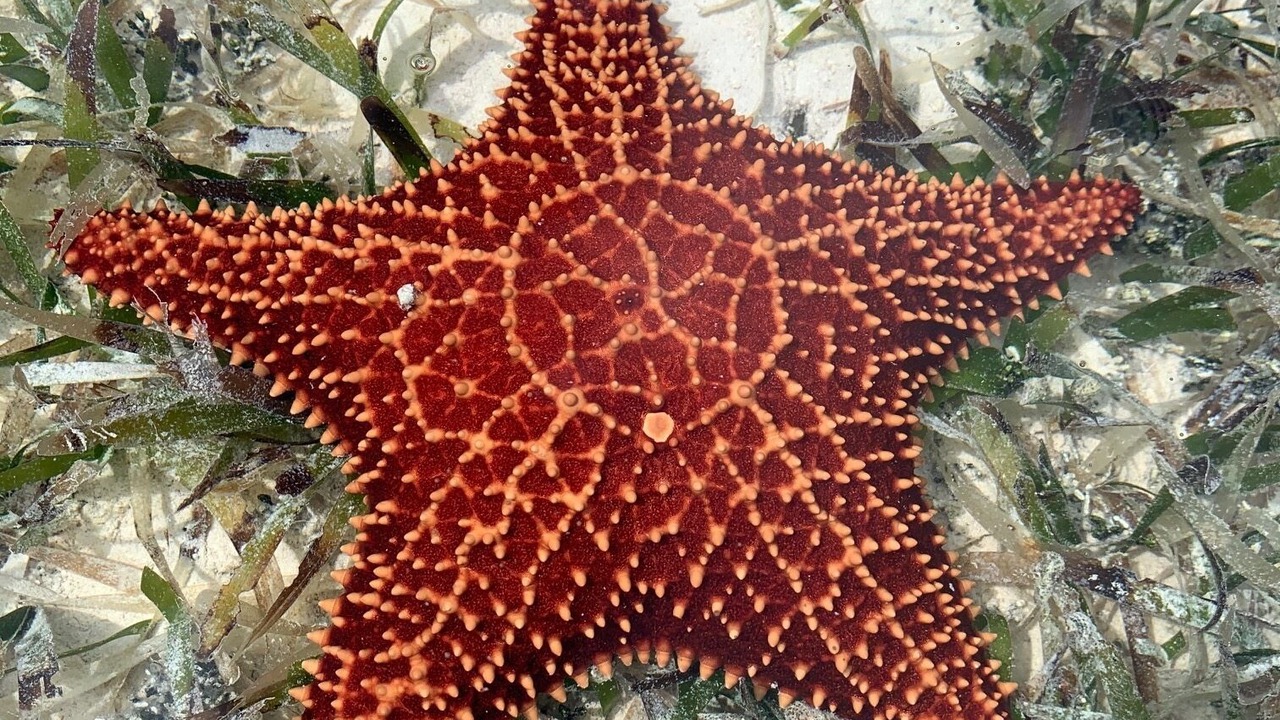 Photo of Outdoor in Spanish Wells