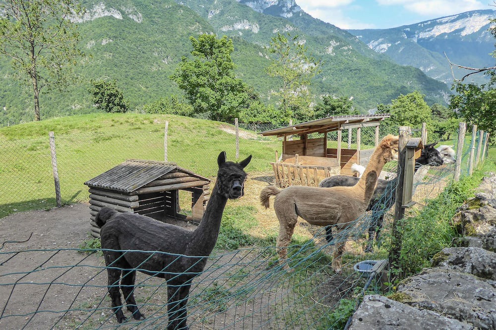 Photo of Outdoor in Lastebasse