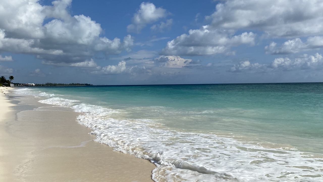 Photo of Outdoor in Freeport