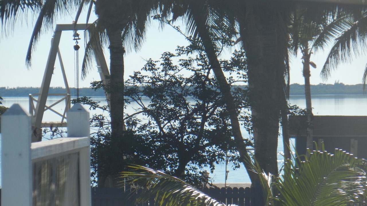 Photo of Outdoor in Alice Town