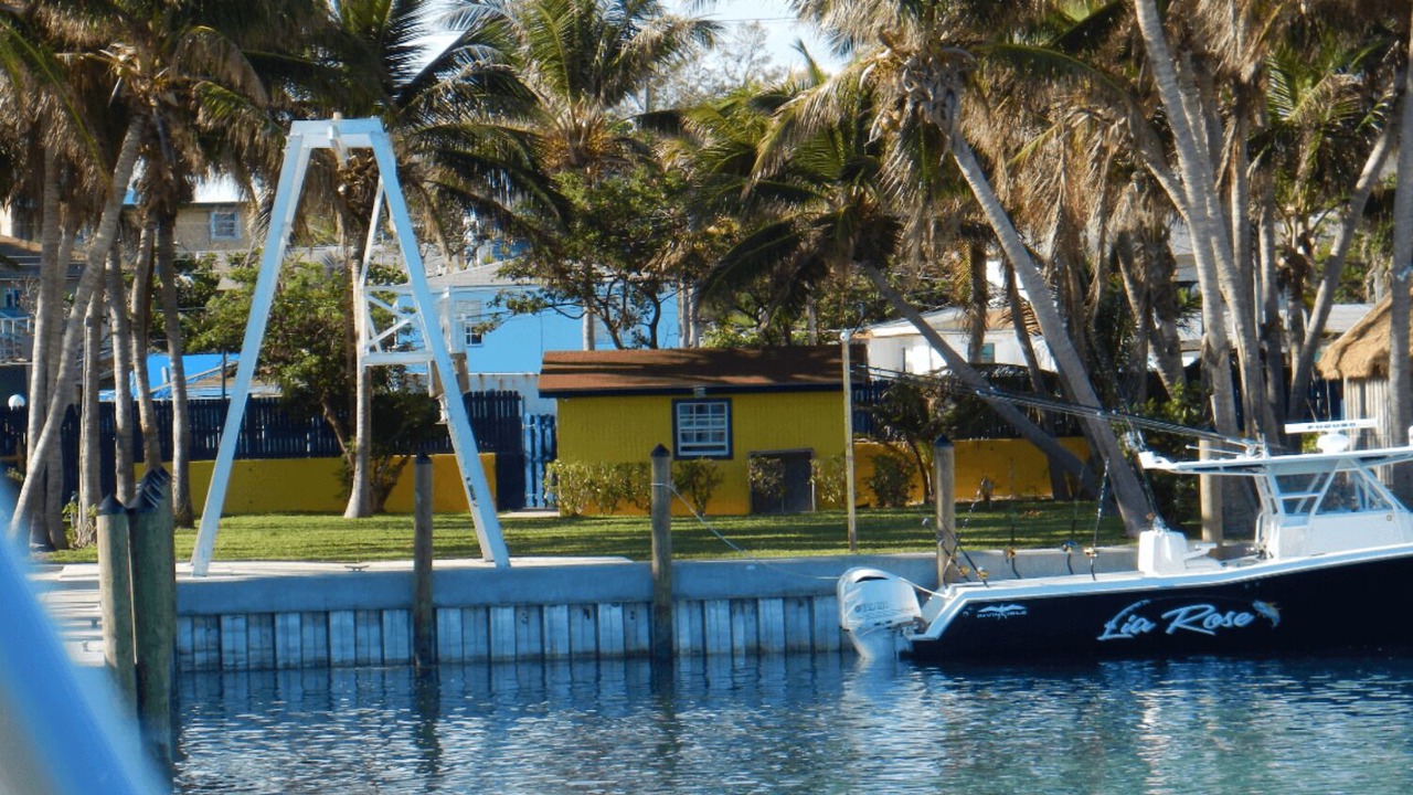 Photo of Outdoor in Alice Town