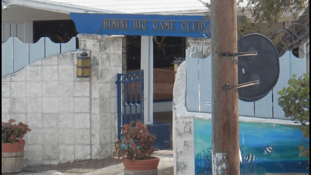 Photo of Outdoor in Alice Town