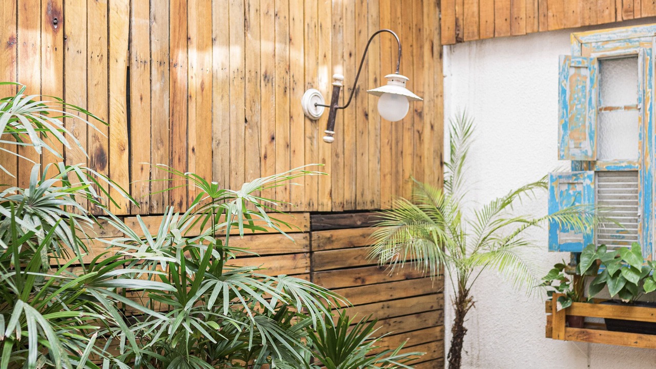 Photo of Outdoor in Nova Friburgo