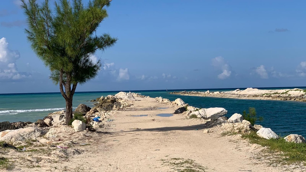 Photo of Others in Bahamia West
