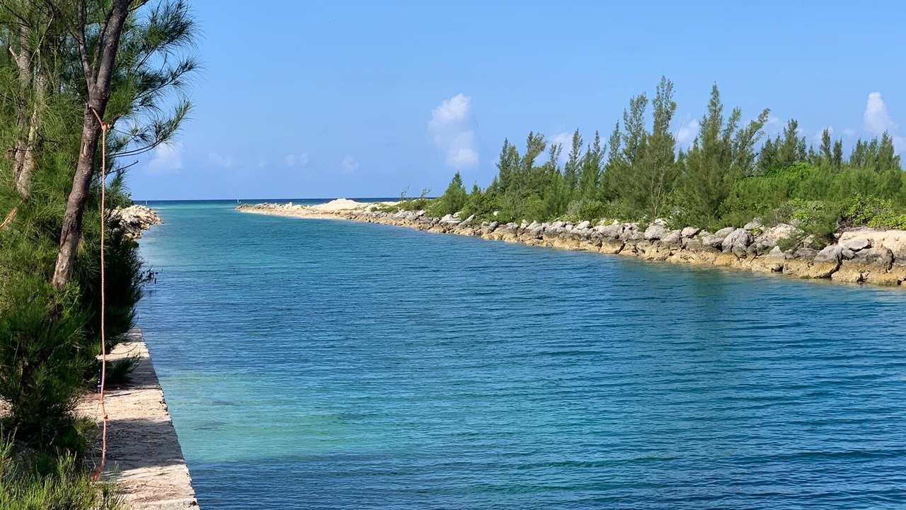 Photo of Others in Bahamia West