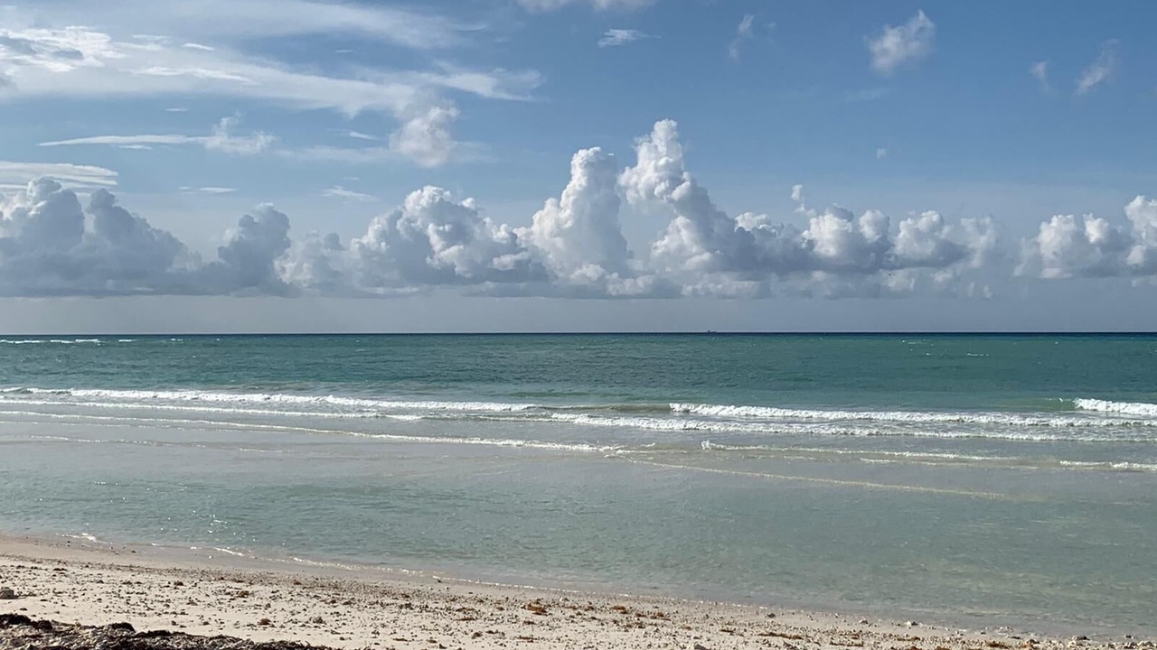 Photo of Others in Bahamia West