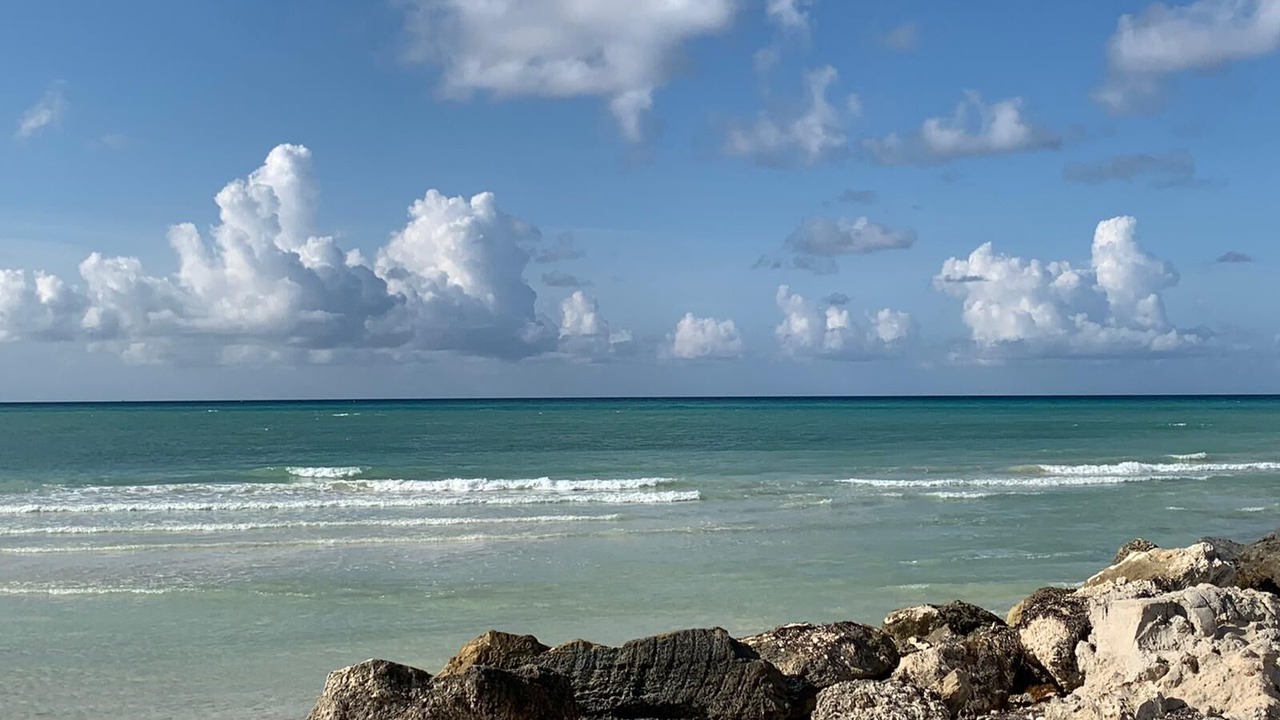 Photo of Others in Bahamia West