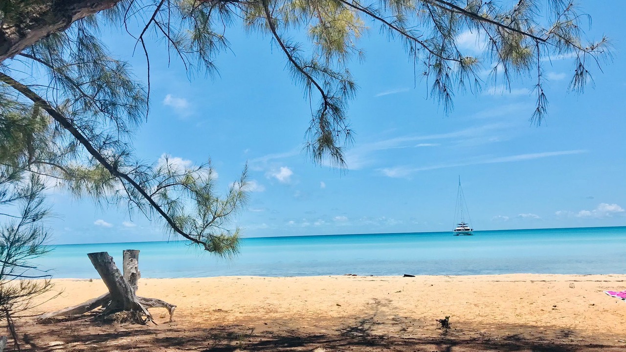 Photo of Others in Rainbow Bay