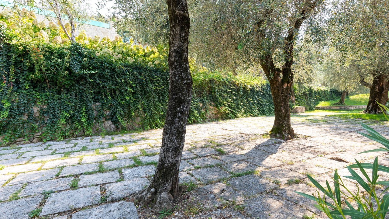 Photo of Outdoor in Frader
