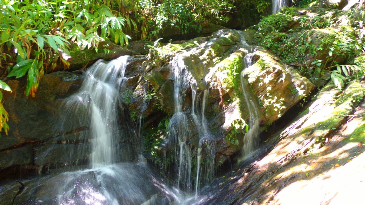 Photo of Outdoor in Maromba