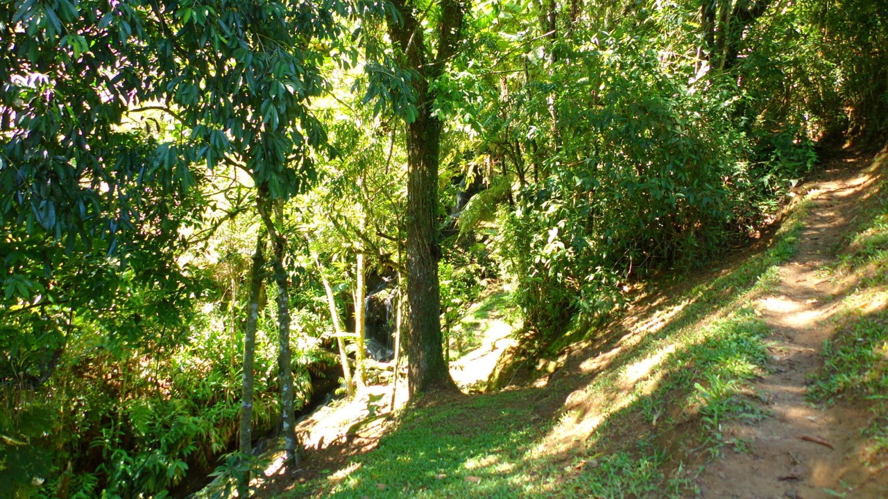 Photo of Outdoor in Maromba