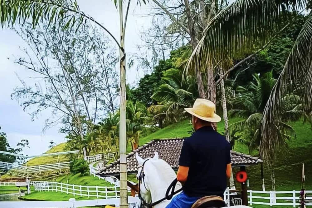 Photo of Outdoor in Rio Bonito