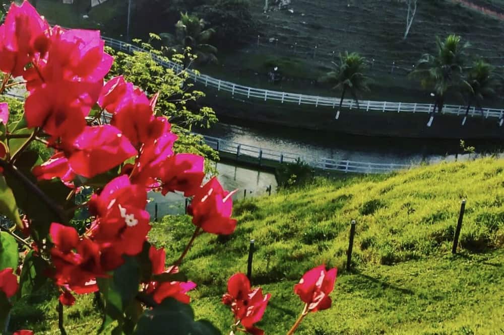 Photo of Outdoor in Rio Bonito