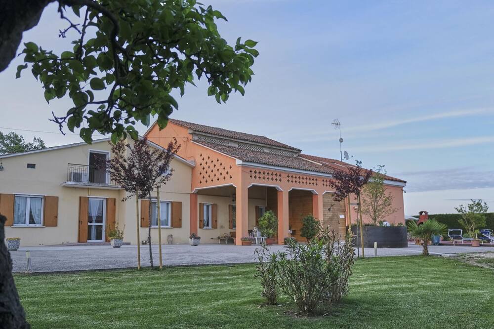 Photo of Others in Codevigo