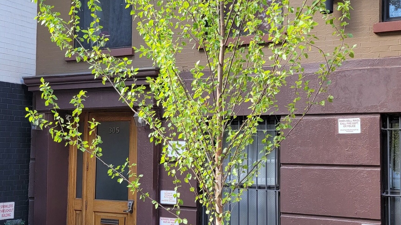 Photo of Outdoor in Chelsea