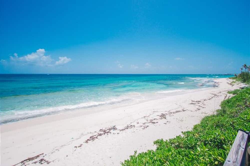Photo of Outdoor in North Palmetto Point