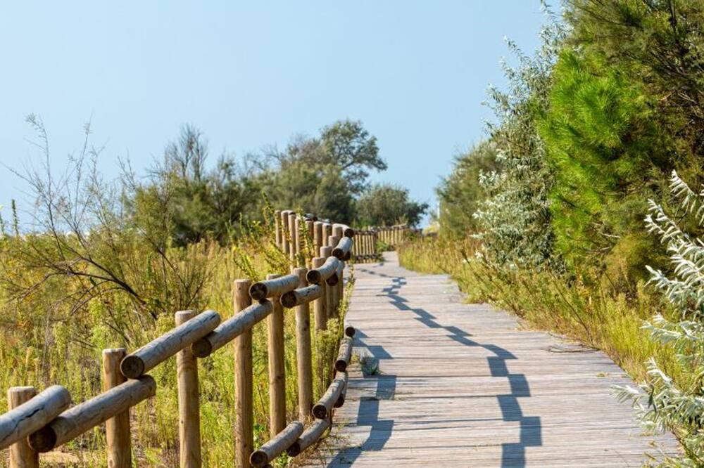Photo of Outdoor in Jesolo Pineta