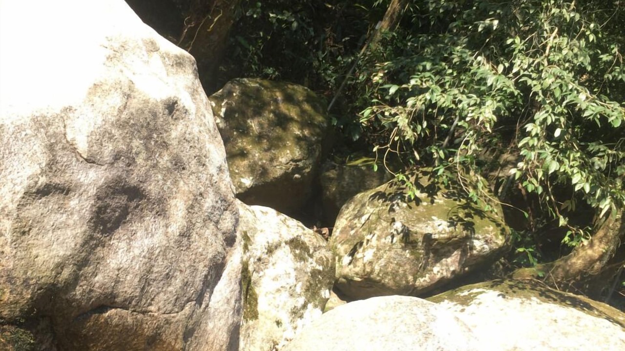 Photo of Outdoor in Guapimirim