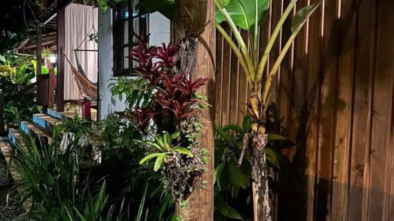 Photo of Outdoor in Jabaquara
