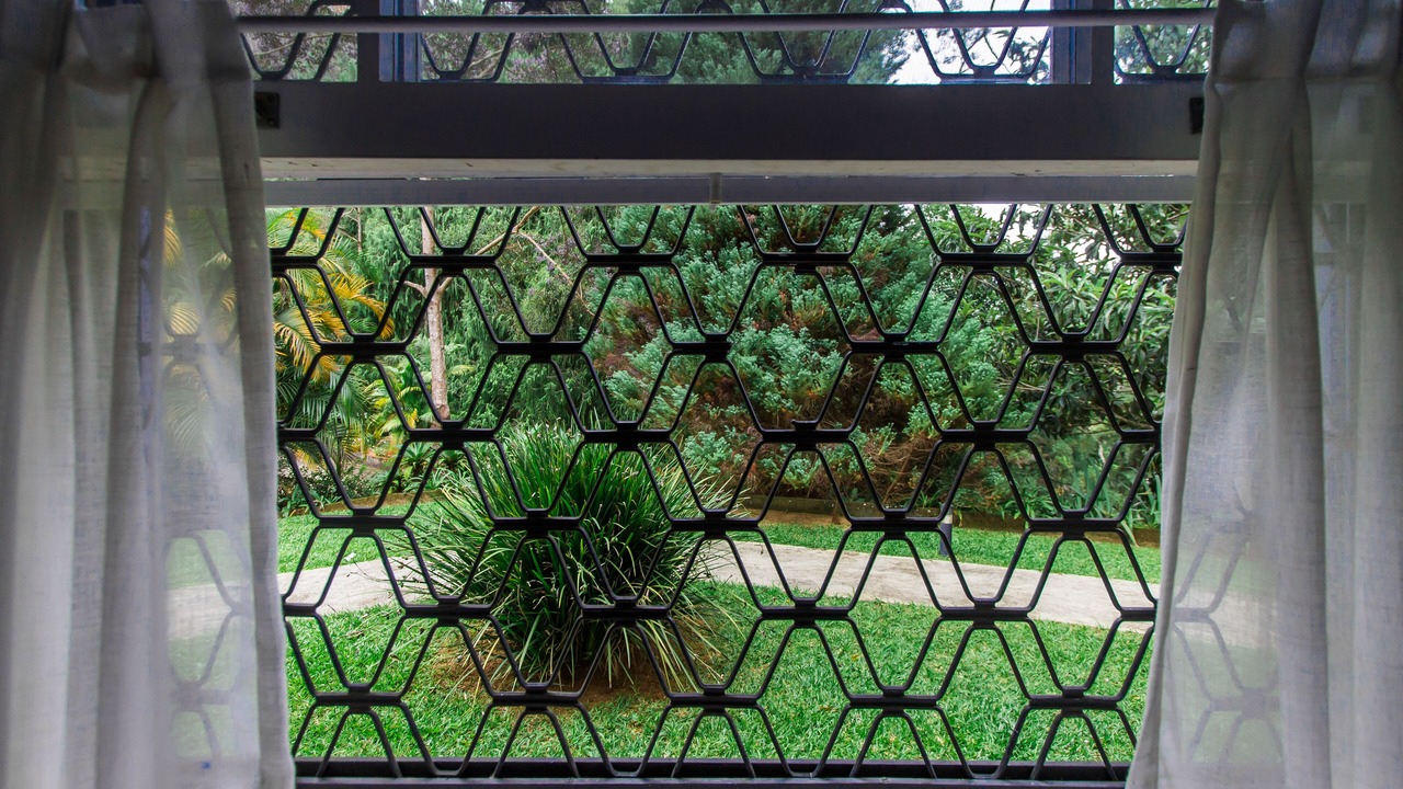 Photo of Outdoor in Araras