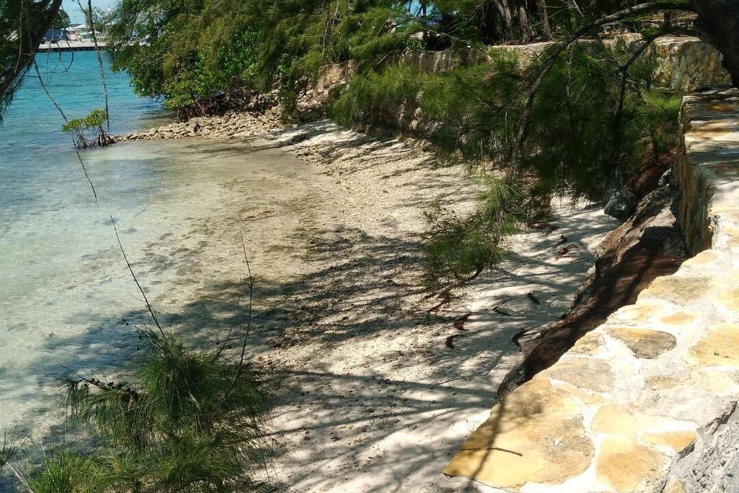 Photo of Others in George Town