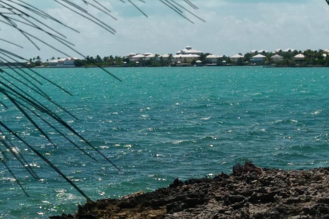 Photo of Others in George Town
