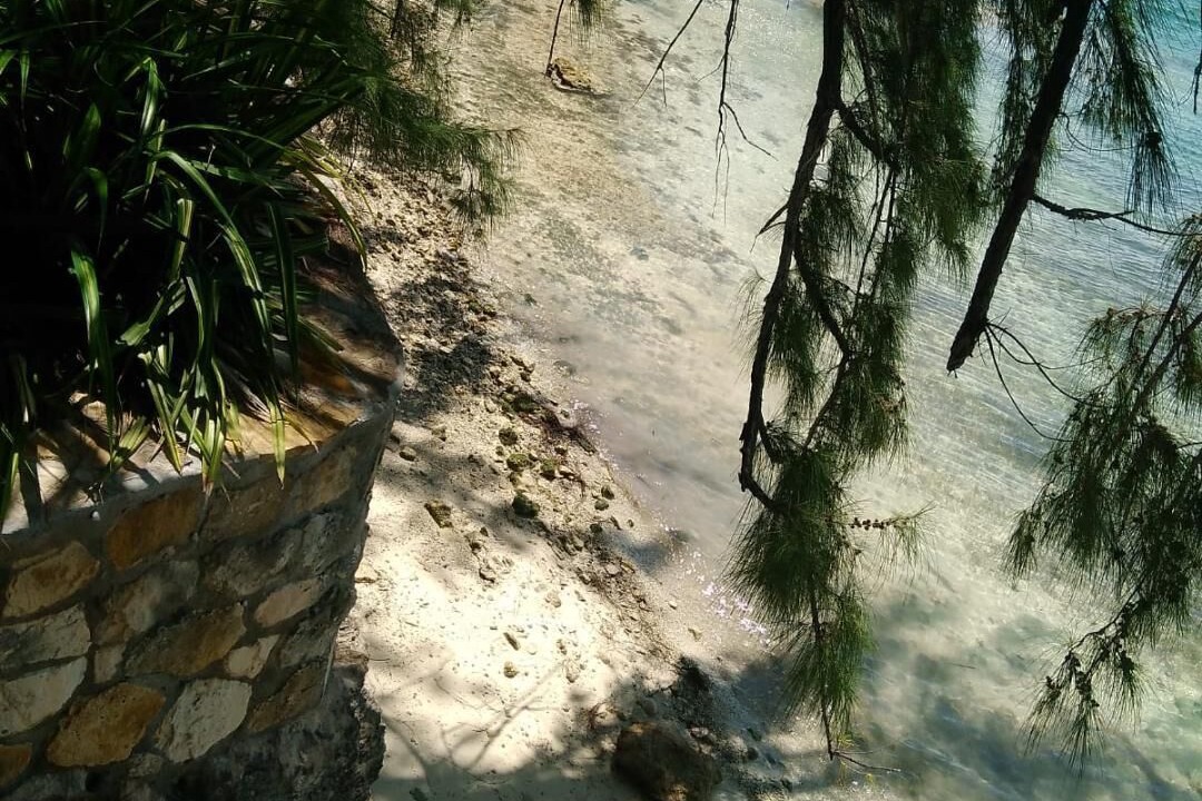 Photo of Outdoor in George Town