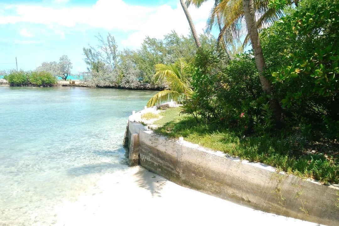 Photo of Others in George Town