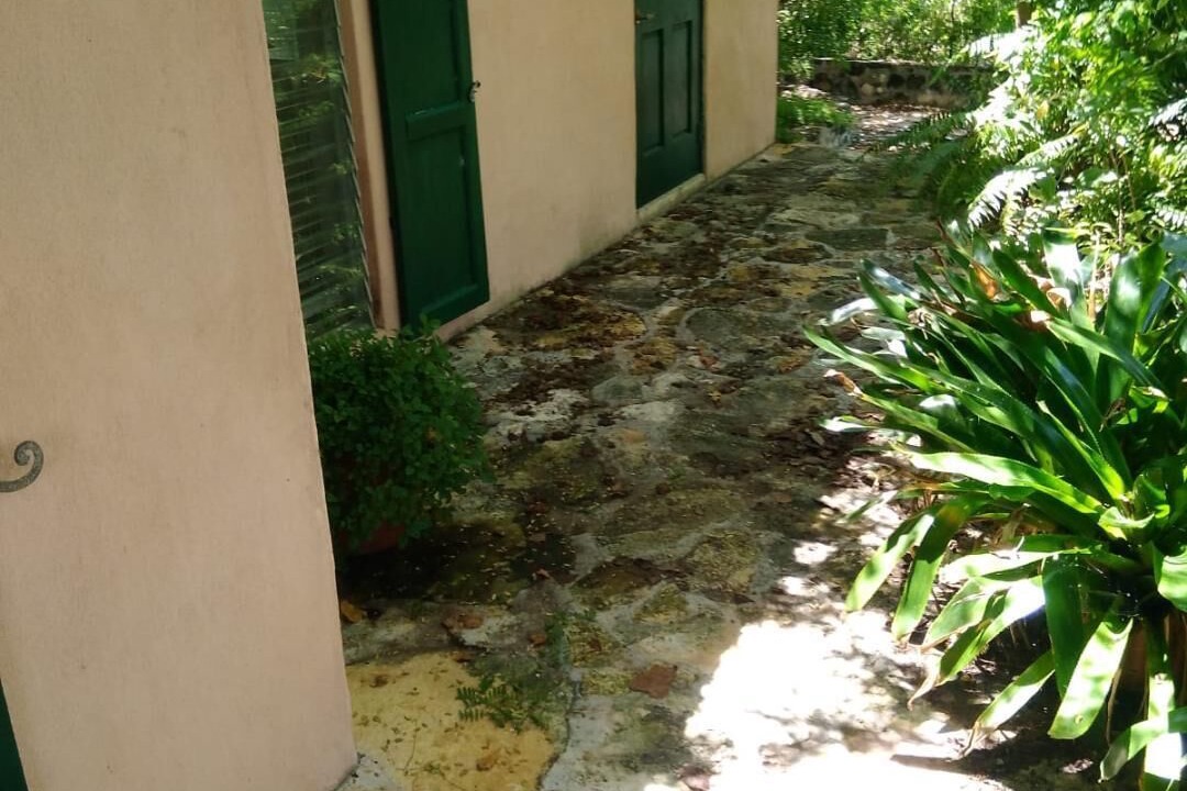 Photo of Outdoor in George Town