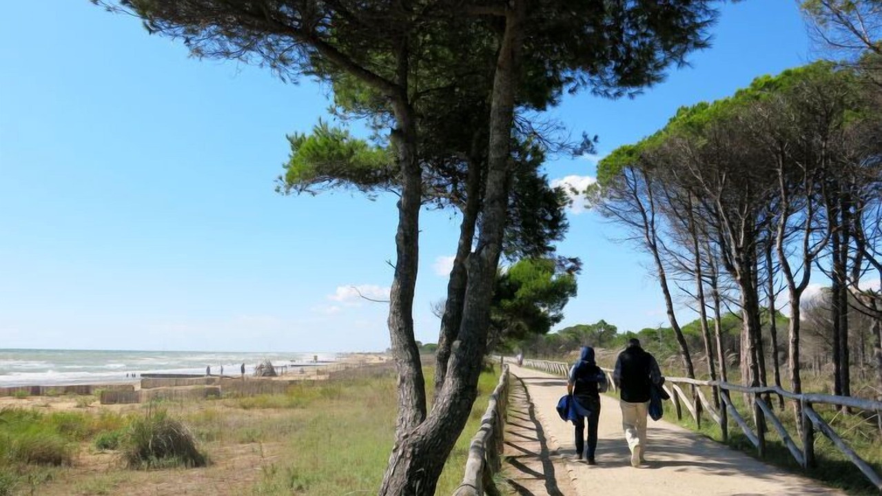Photo of Others in Bibione