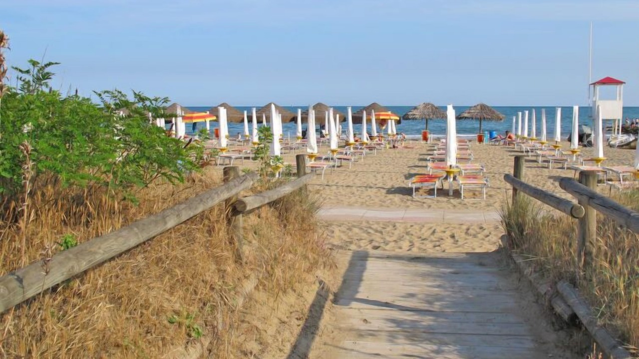 Photo of Others in Jesolo Pineta