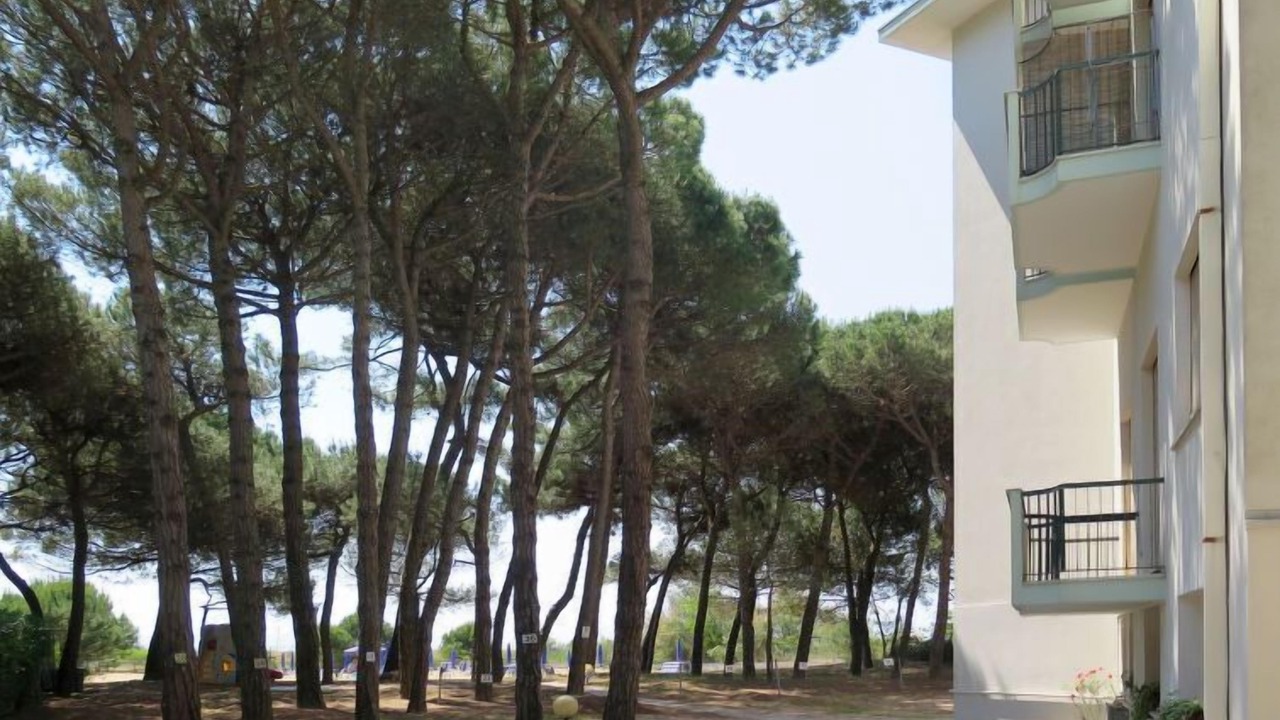 Photo of Outdoor in Jesolo Pineta