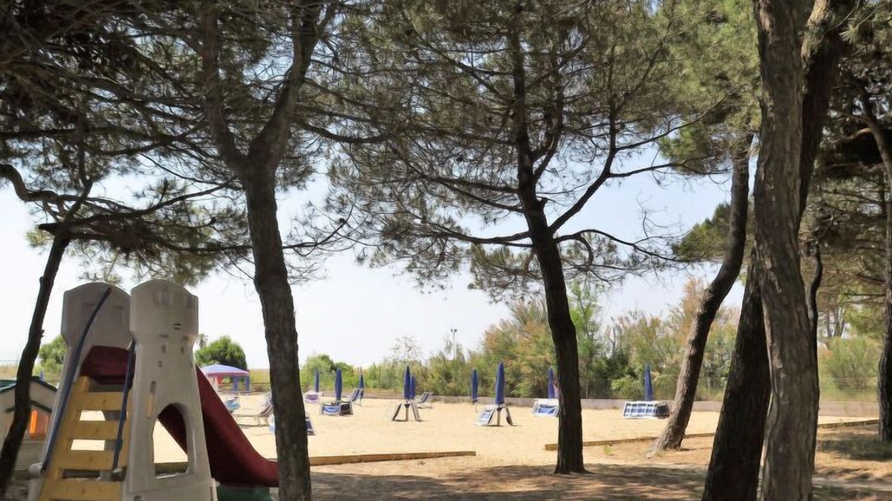 Photo of Others in Jesolo Pineta