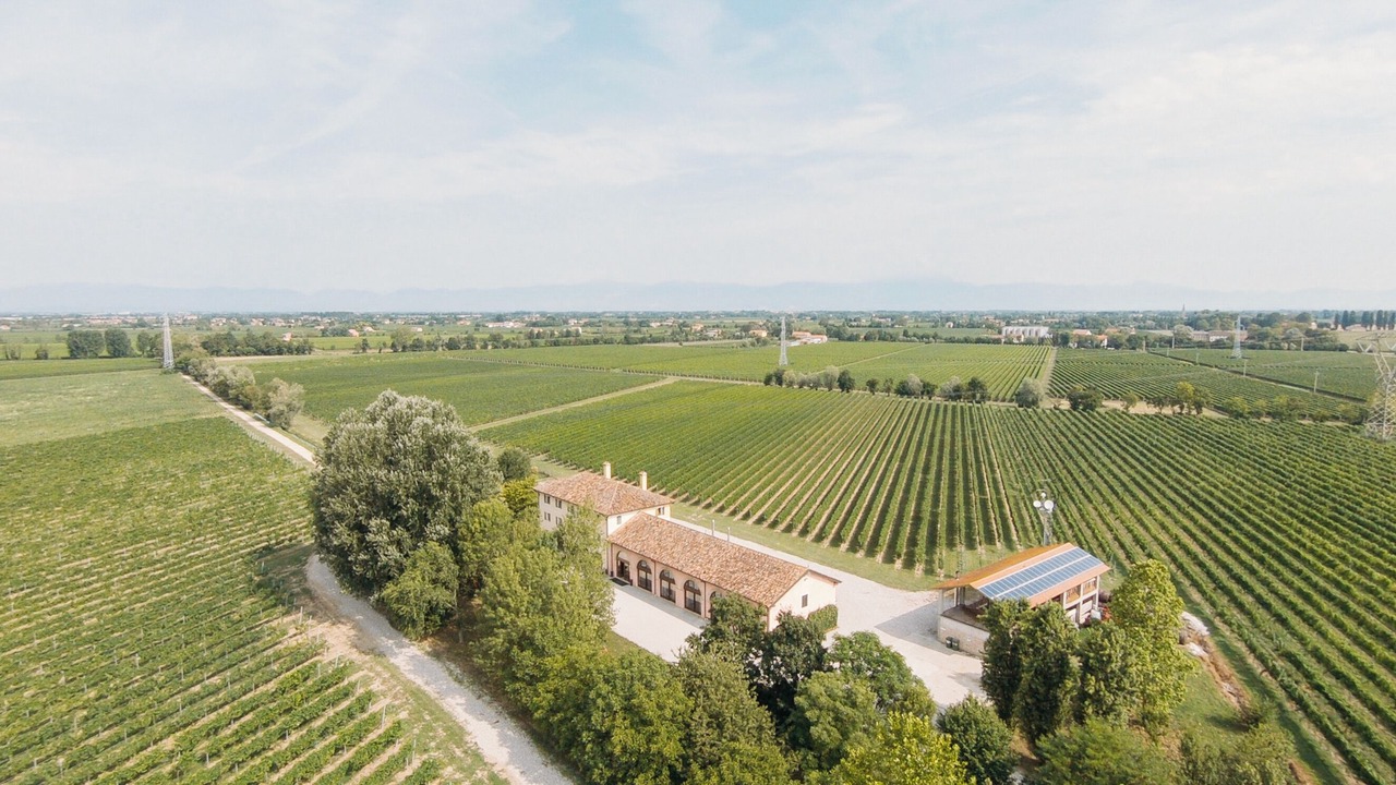 Photo of Outdoor in Fossalta Maggiore