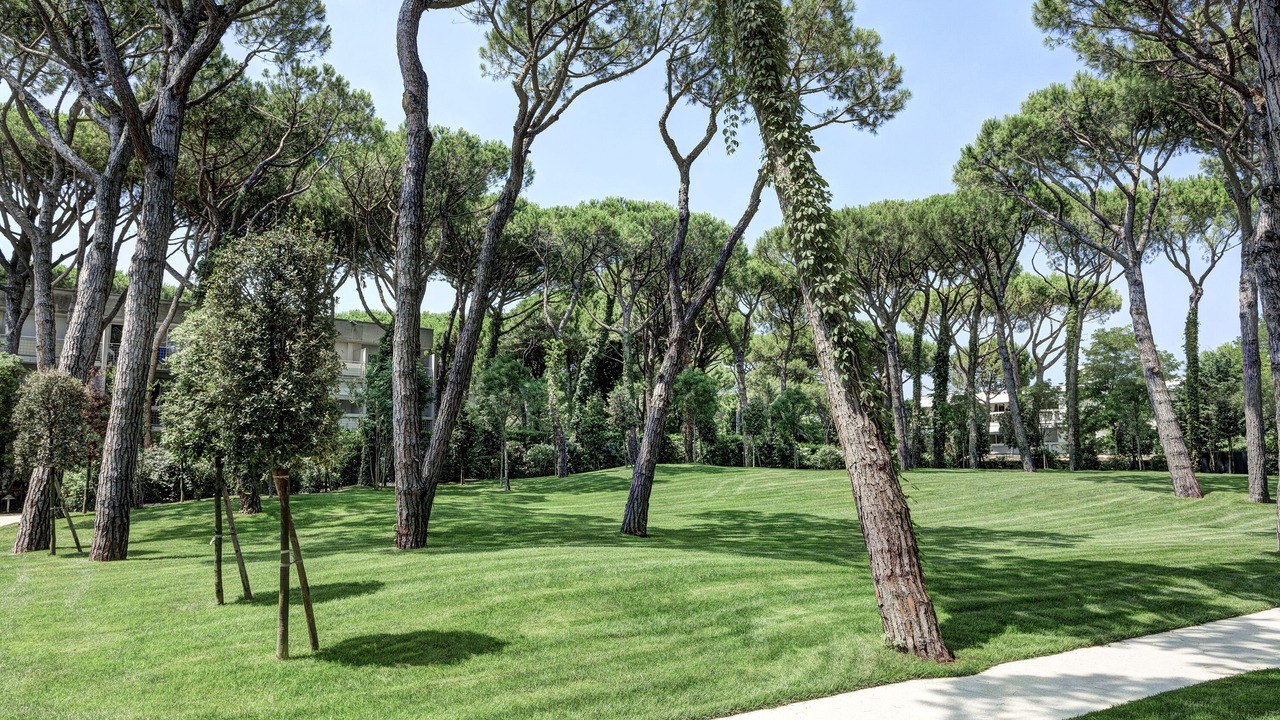 Photo of Outdoor in Jesolo Pineta