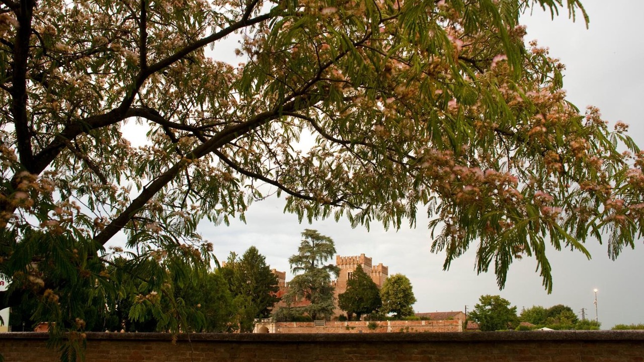 Photo of Outdoor in Bevilacqua