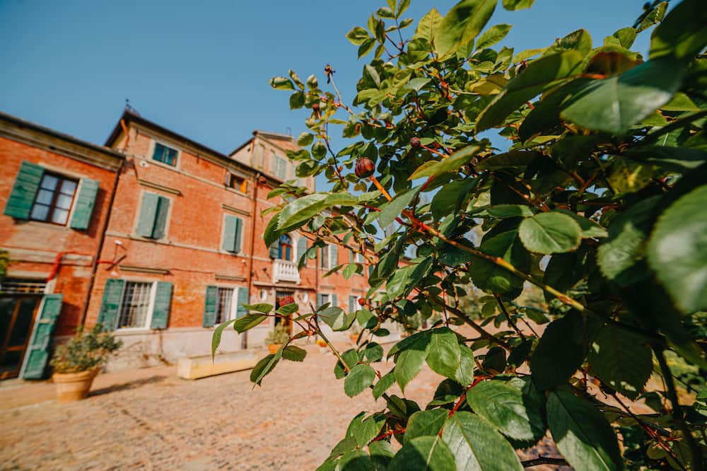 Photo of Outdoor in Taglio di Po