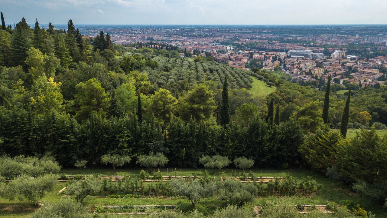 Photo of Outdoor in Borgo Trento