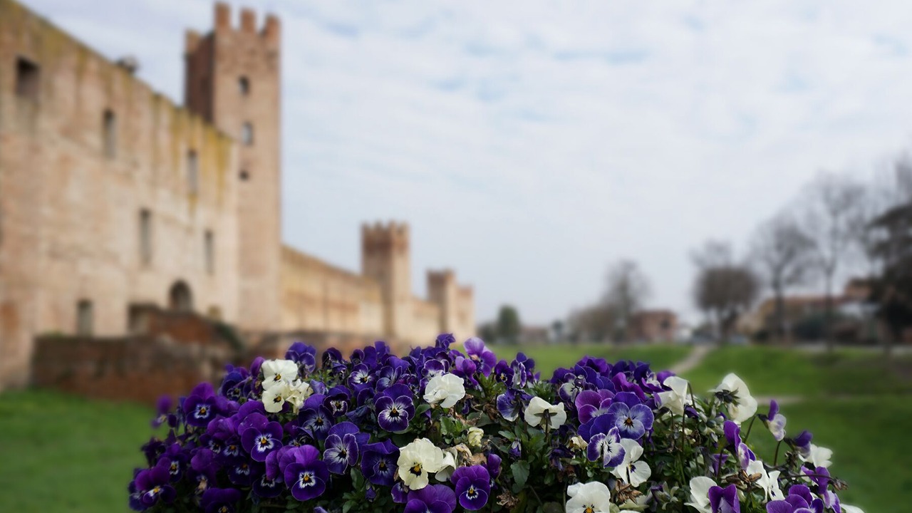 Photo of Outdoor in Montagnana