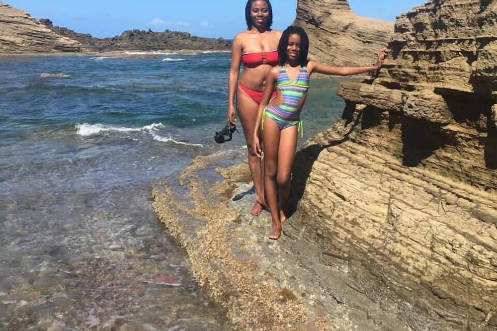 Photo of Others in Robins Bay