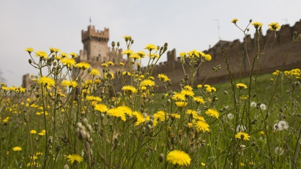 Photo of Outdoor in Montagnana